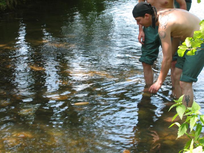 110-1062_IMG.JPG