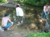 110-1060_IMG.JPG